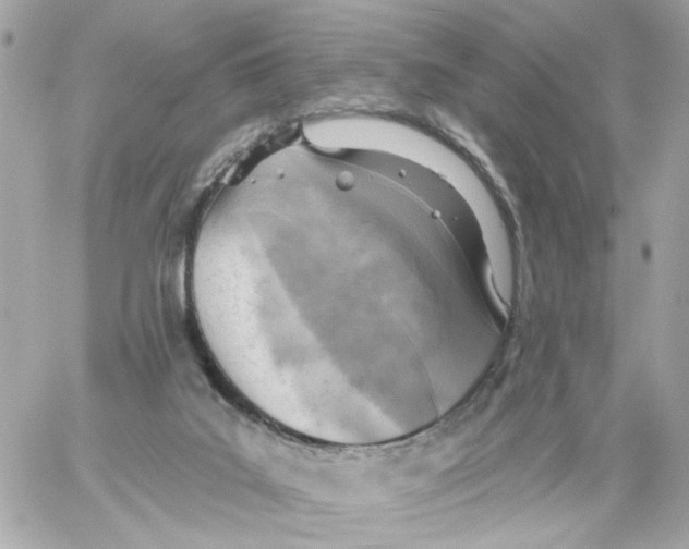 X0000059040019200511041648