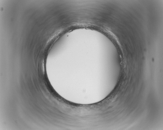 X0000059040020200511041648