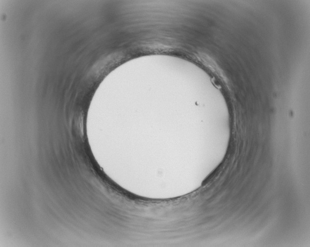 X0000059040021200511041648