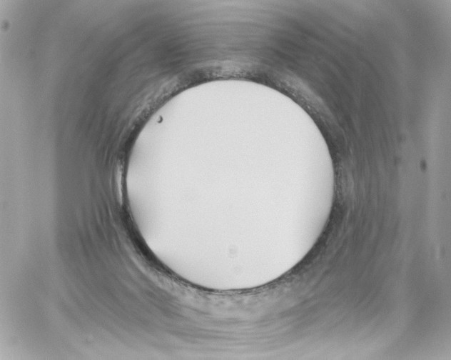 X0000059040022200511041648