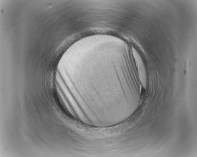 X0000059040023200511041648