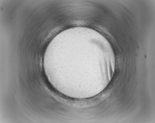 X0000059040024200511041648