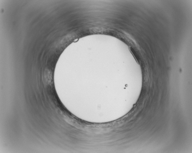 X0000059040025200511041648