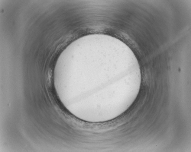 X0000059040026200511041648