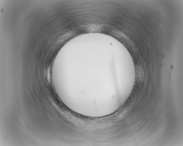 X0000059040028200511041648