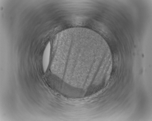 X0000059040029200511041648