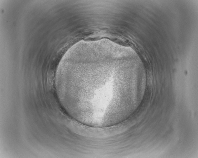 X0000059040030200511041648