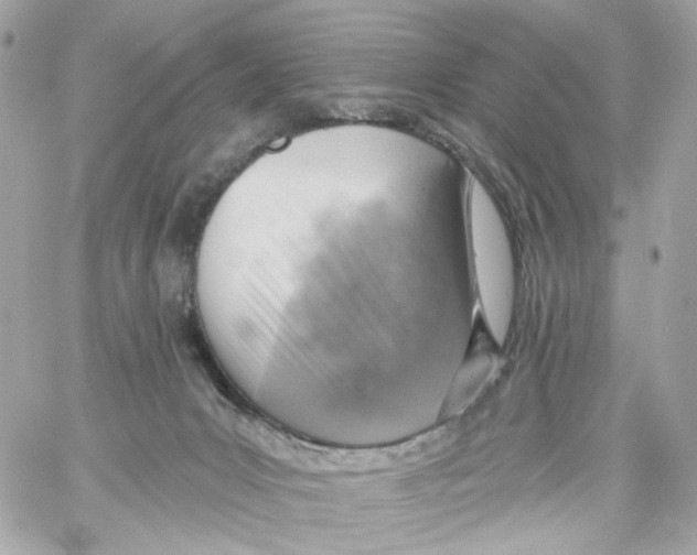 X0000059040031200511041648