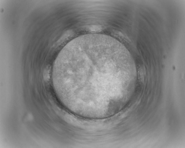 X0000059040032200511041648