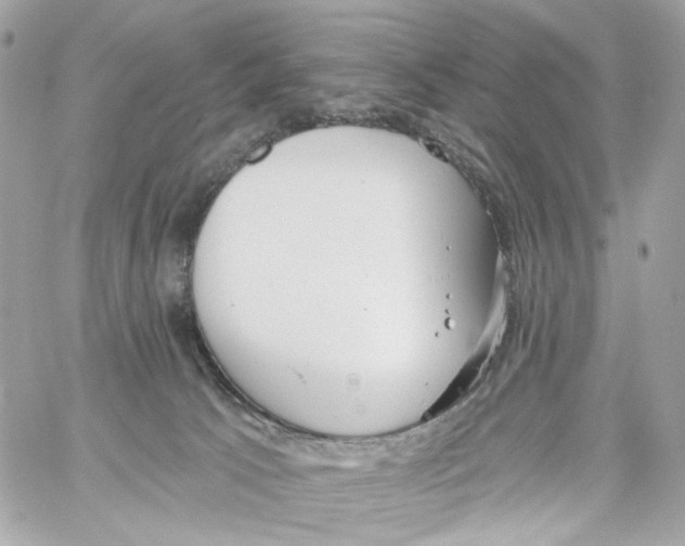 X0000059040033200511041648