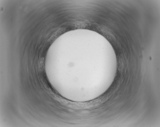 X0000059040034200511041648