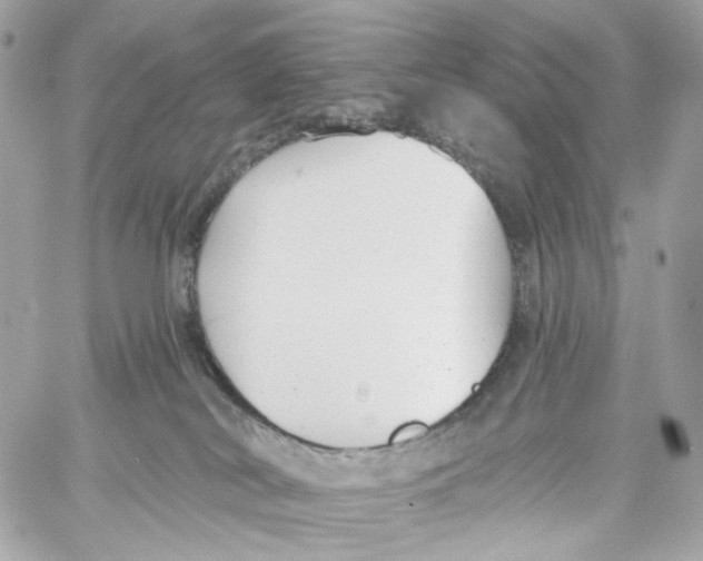 X0000059040038200511041648