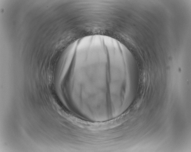 X0000059040039200511041648