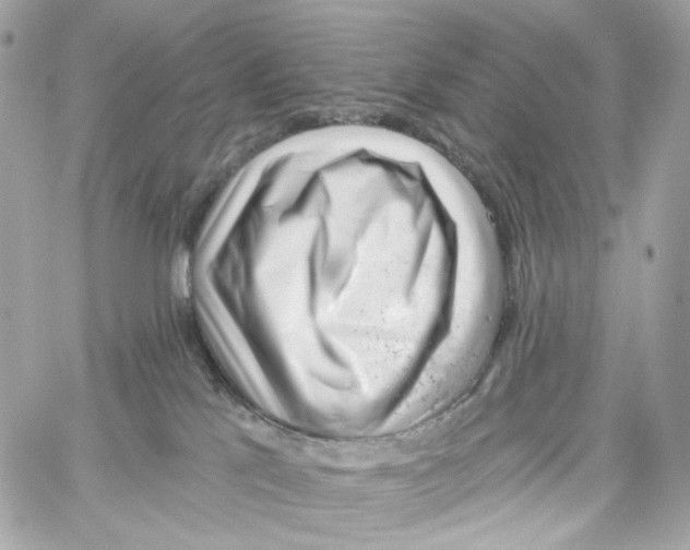 X0000059040041200511041648