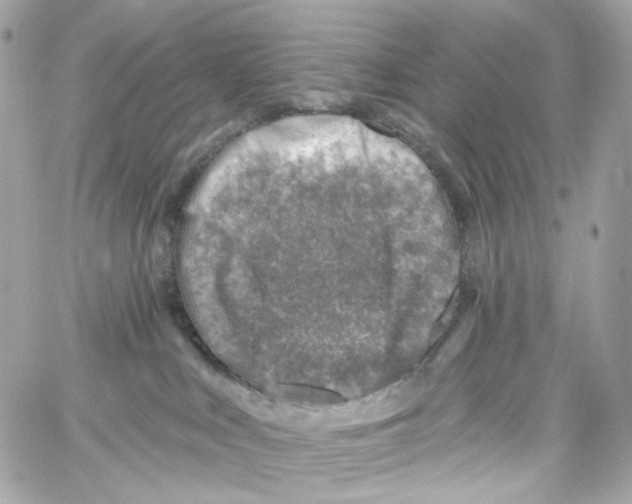 X0000059040043200511041648