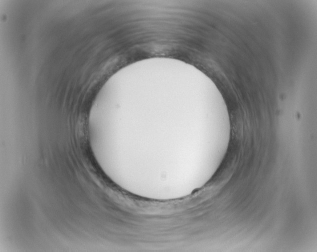 X0000059040044200511041648