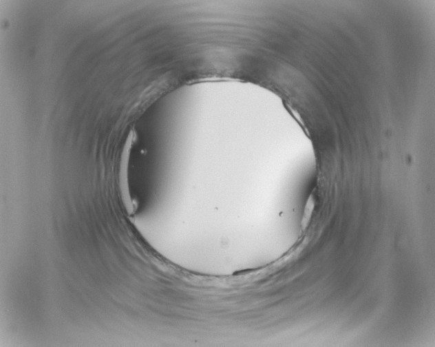 X0000059040045200511041648