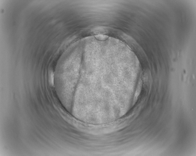 X0000059040046200511041648