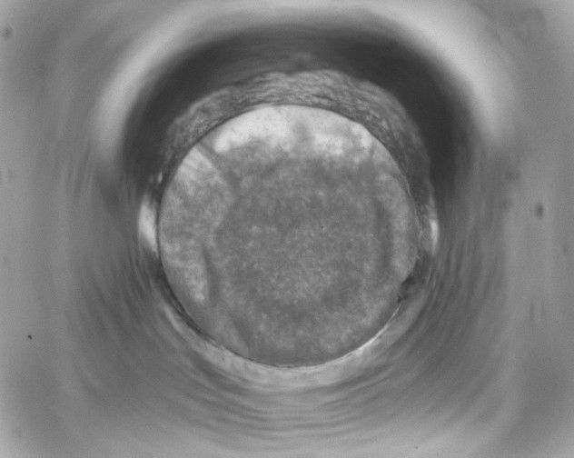 X0000059040047200511041648