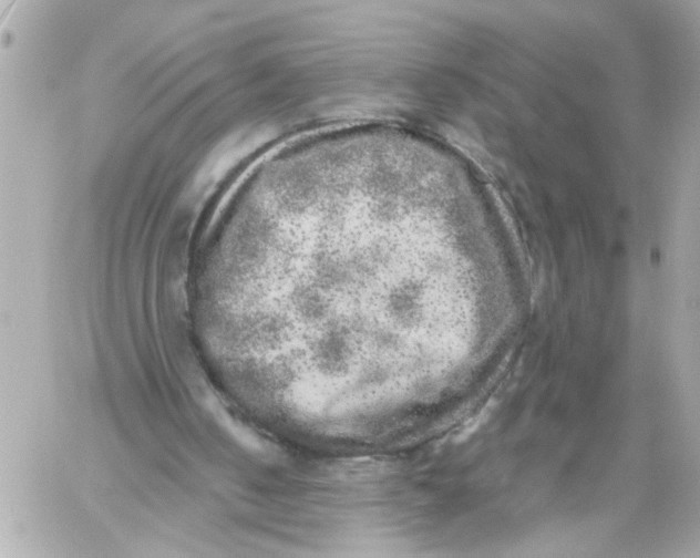 X0000059040050200511041647