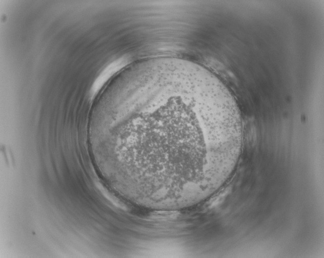 X0000059040051200511041647