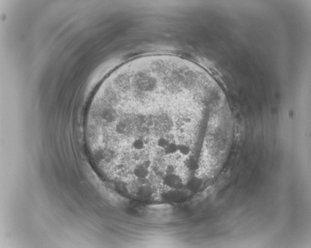 X0000059040053200511041647