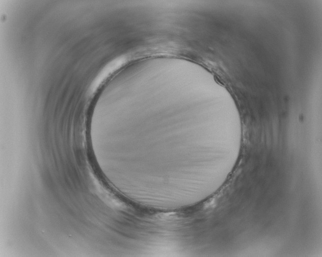 X0000059040054200511041647