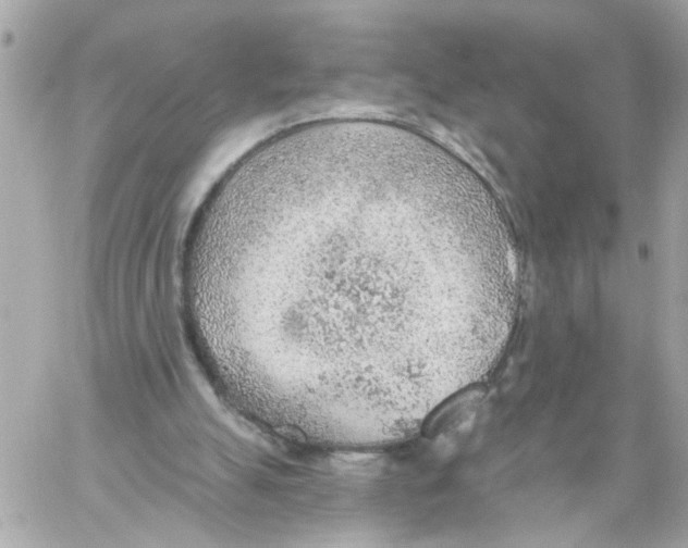 X0000059040055200511041647