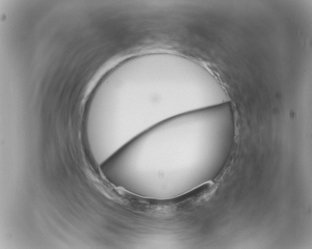 X0000059040056200511041647