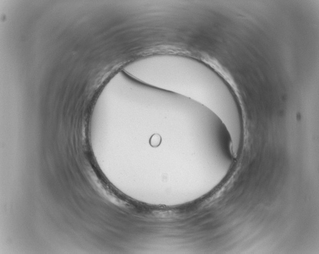 X0000059040057200511041647