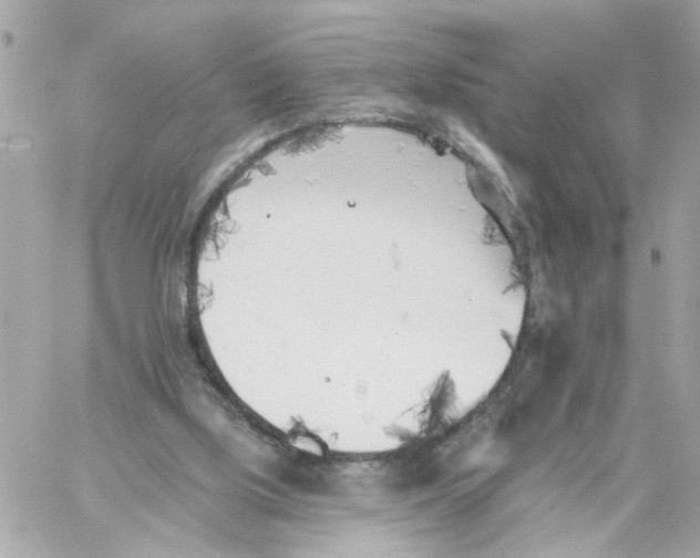 X0000059040059200511041647