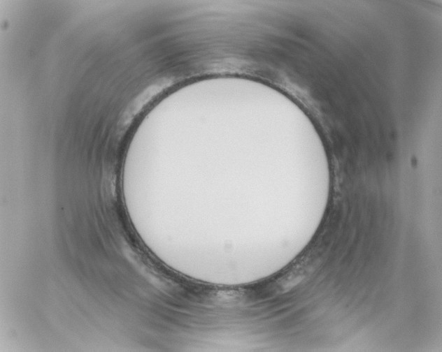 X0000059040060200511041647