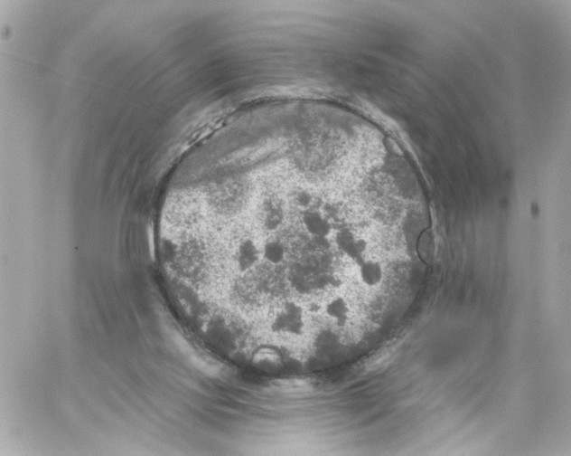 X0000059040061200511041647