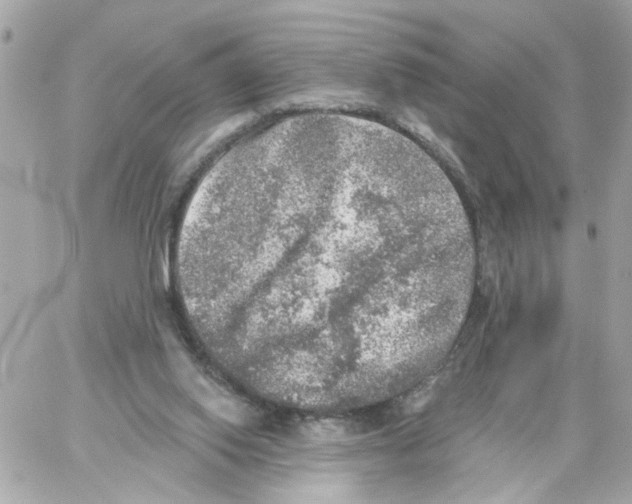 X0000059040062200511041647