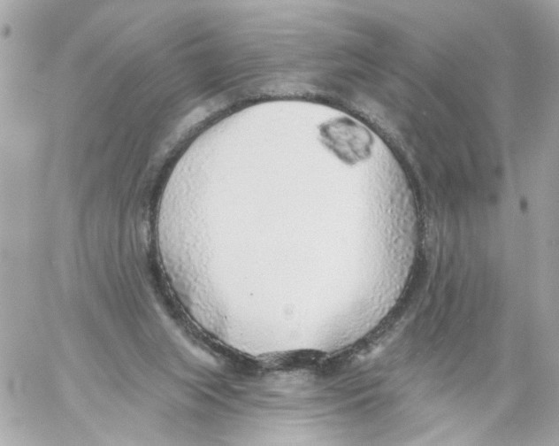 X0000059040063200511041647