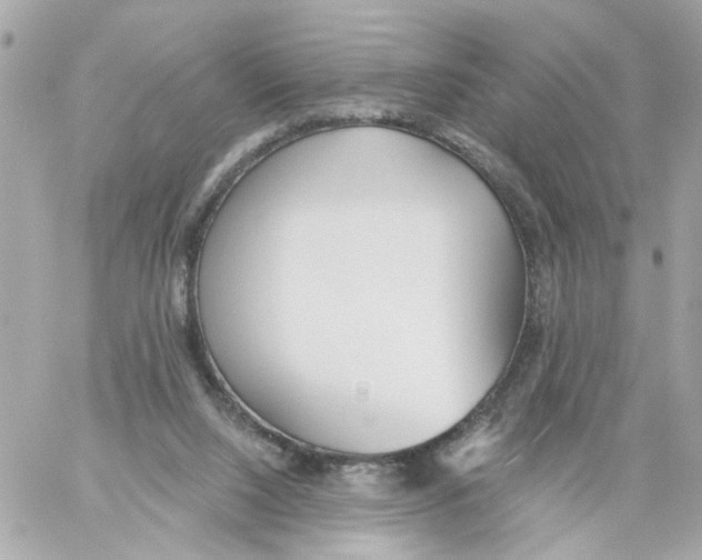 X0000059040064200511041647