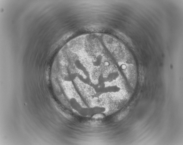 X0000059040065200511041647