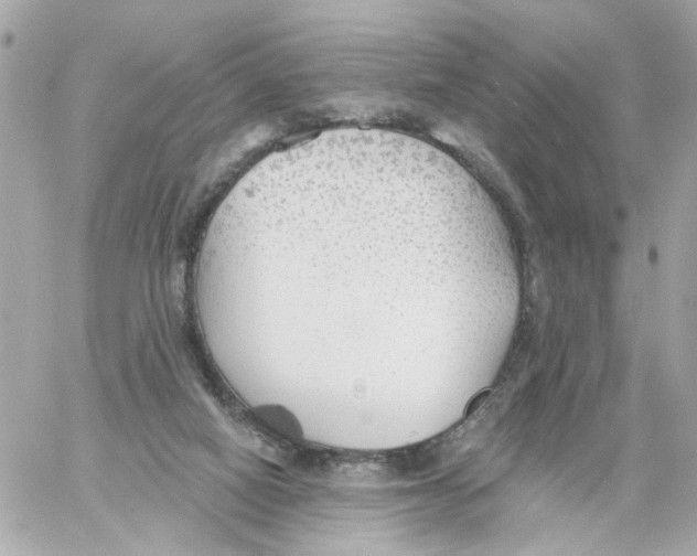 X0000059040066200511041647