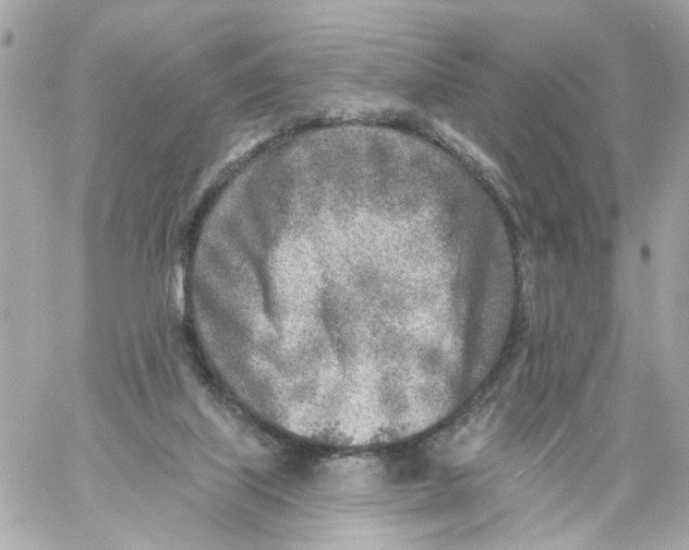 X0000059040067200511041647