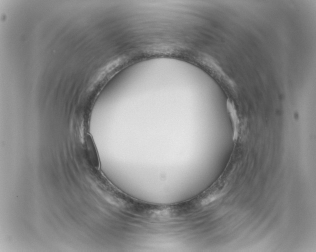 X0000059040068200511041647