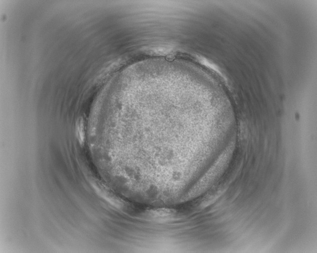 X0000059040069200511041647