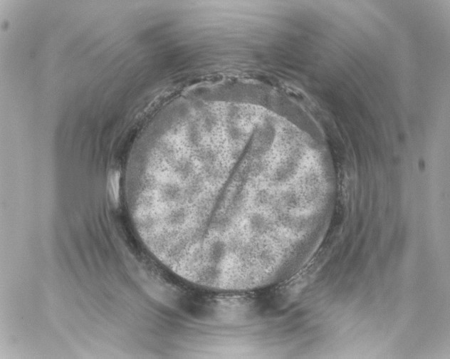 X0000059040070200511041647