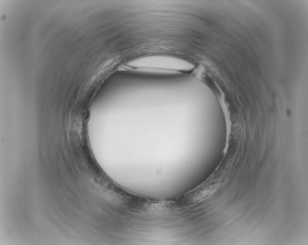 X0000059040072200511041647