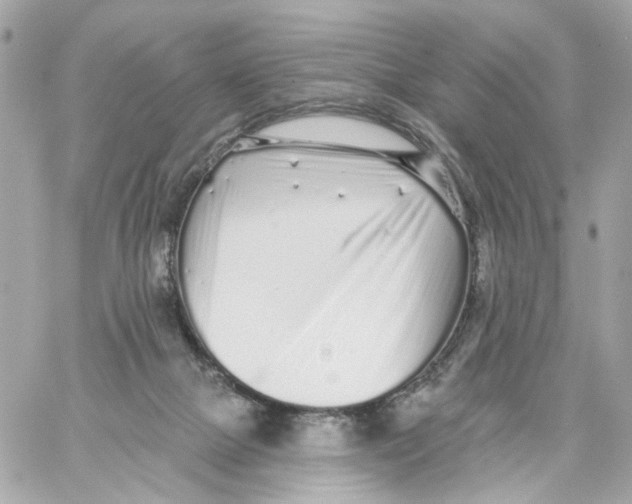 X0000059040073200511041647