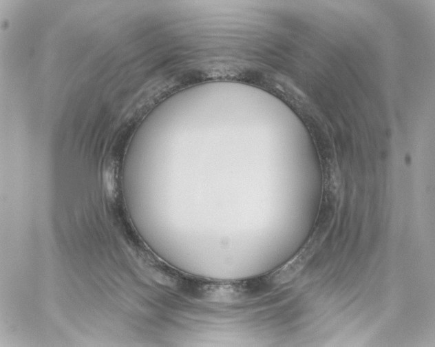 X0000059040074200511041647