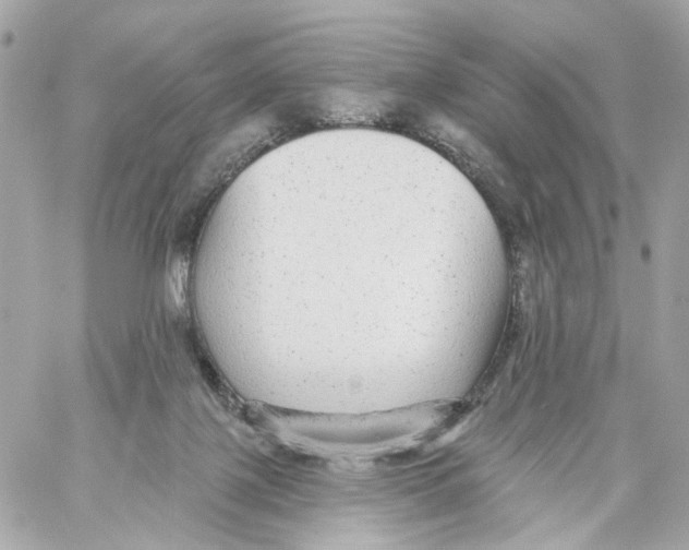 X0000059040075200511041647