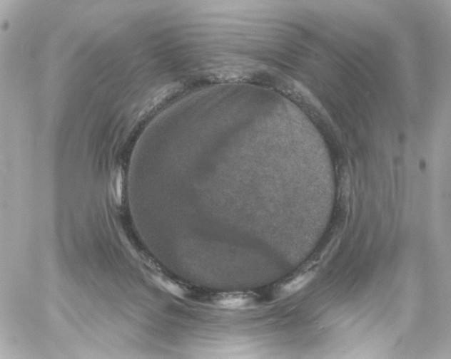 X0000059040076200511041647