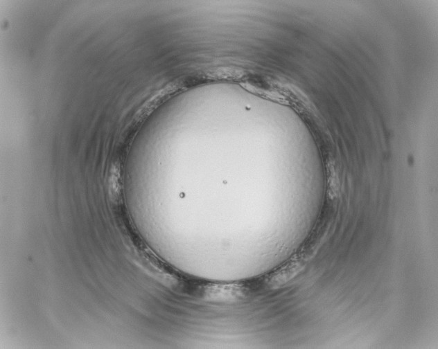 X0000059040077200511041647