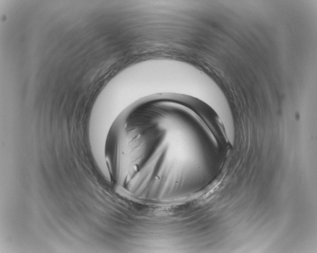 X0000059040078200511041647