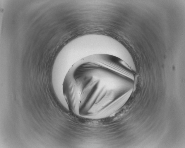 X0000059040079200511041647